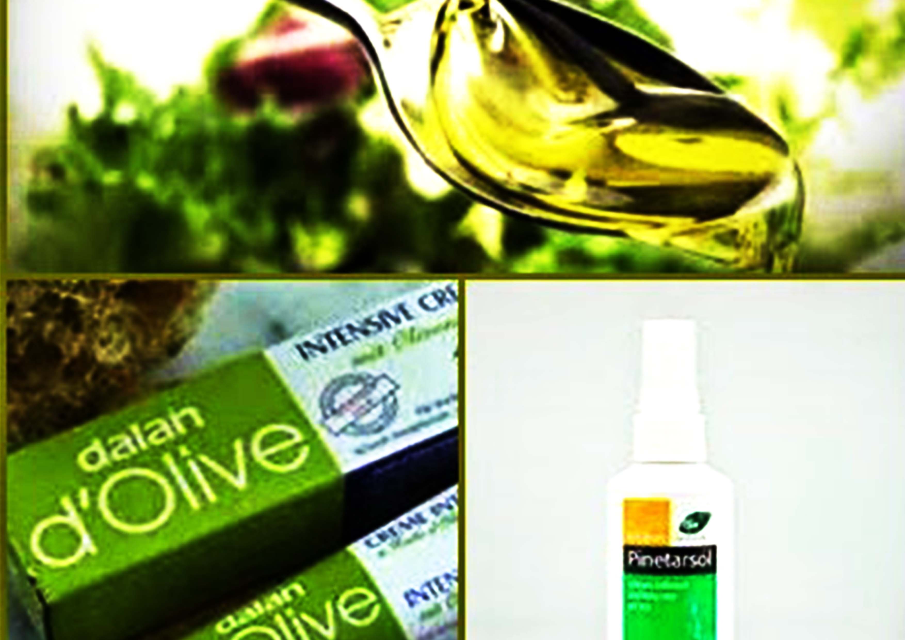 Minyak Zaitun dan ChickenPox