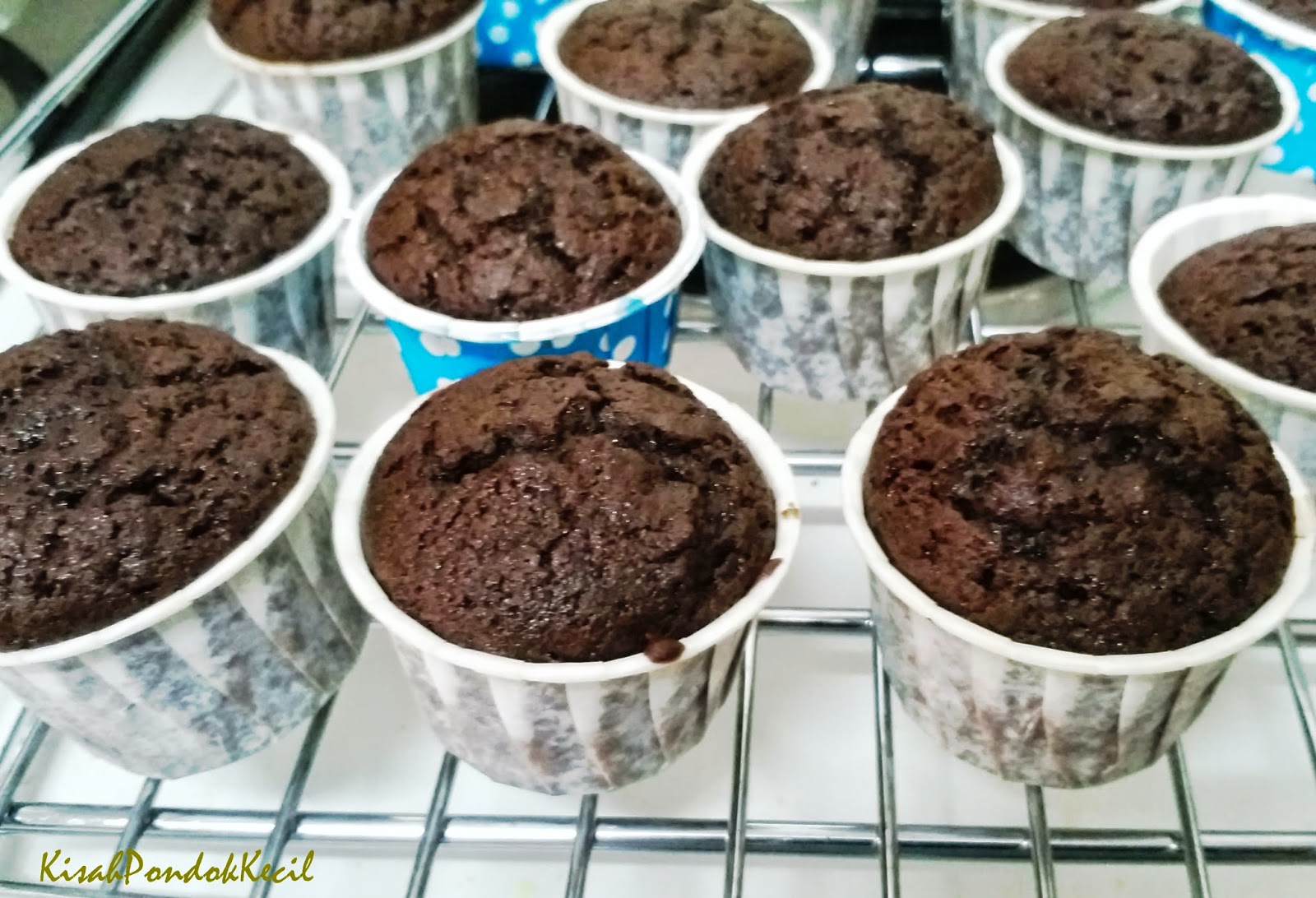 Muffin Chocolate Resepi Ringkas