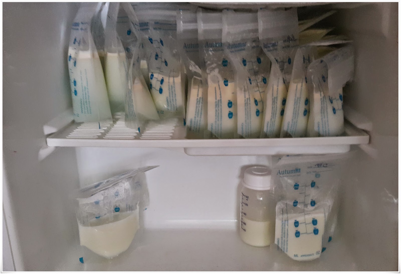 Susu Ibu Elak Penyakit Pada Bayi