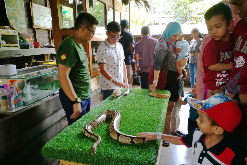 Farm In The City Percutian Menarik Area Selangor