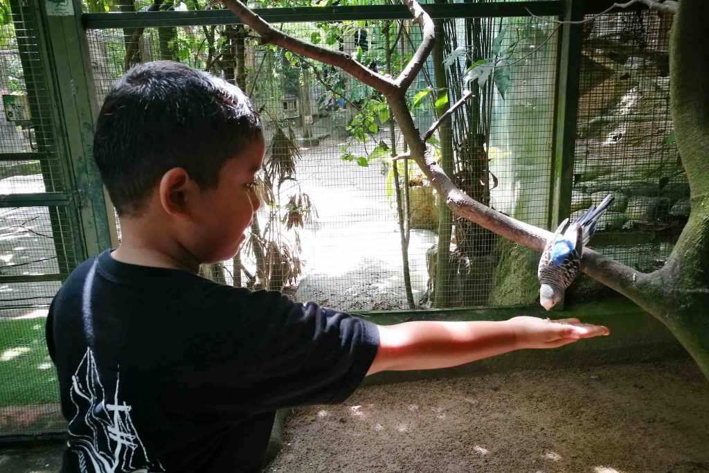 Farm In The City Malaysian Village Themed Petting Zoo