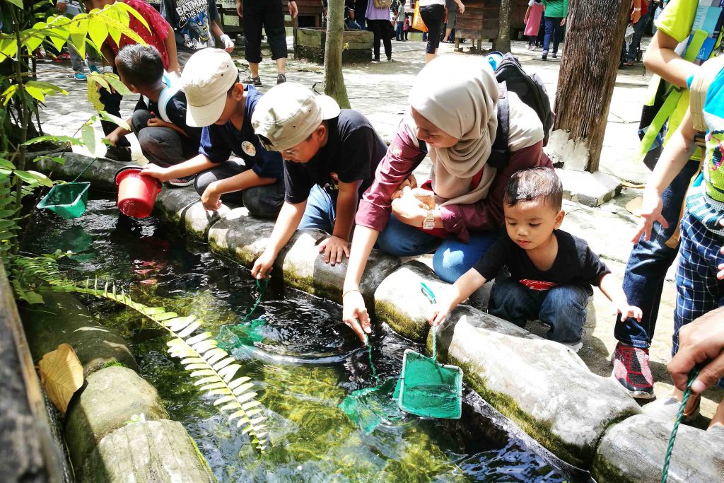 Farm In The City Malaysian Village Themed Petting Zoo