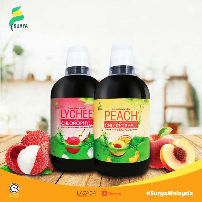 Khasiat Kandungan Sayur Dalam Jus Chlorophyll SURYA