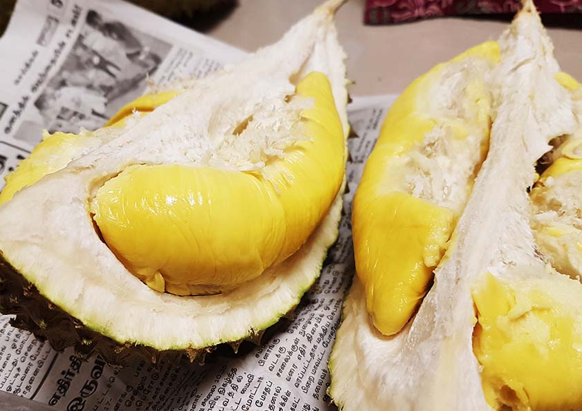 Durian Musang King Sedap dan Berbaloi Beli